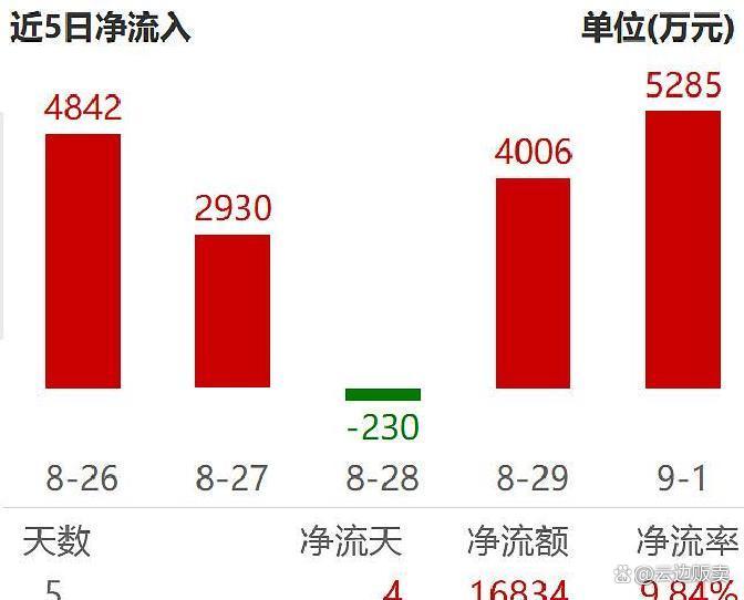 上市板块定位风险(上市各种板块什么意思?)宁德市