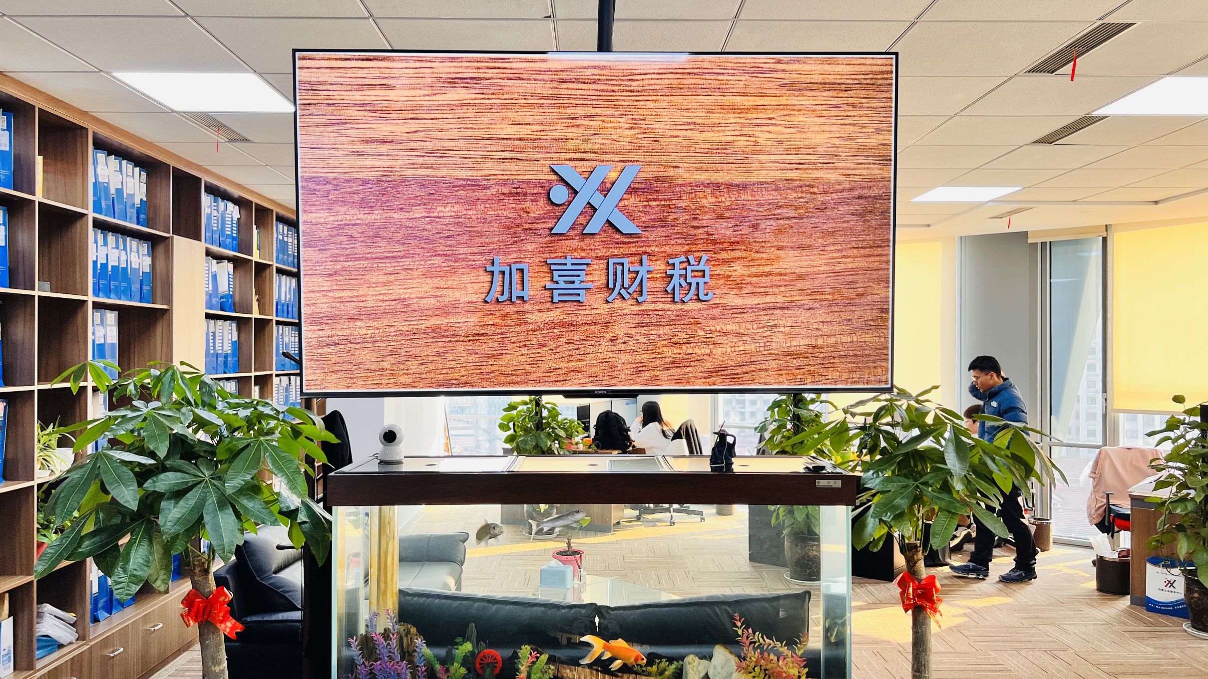 持股平台搭建服务(持股平台搭建服务方案)宁德市